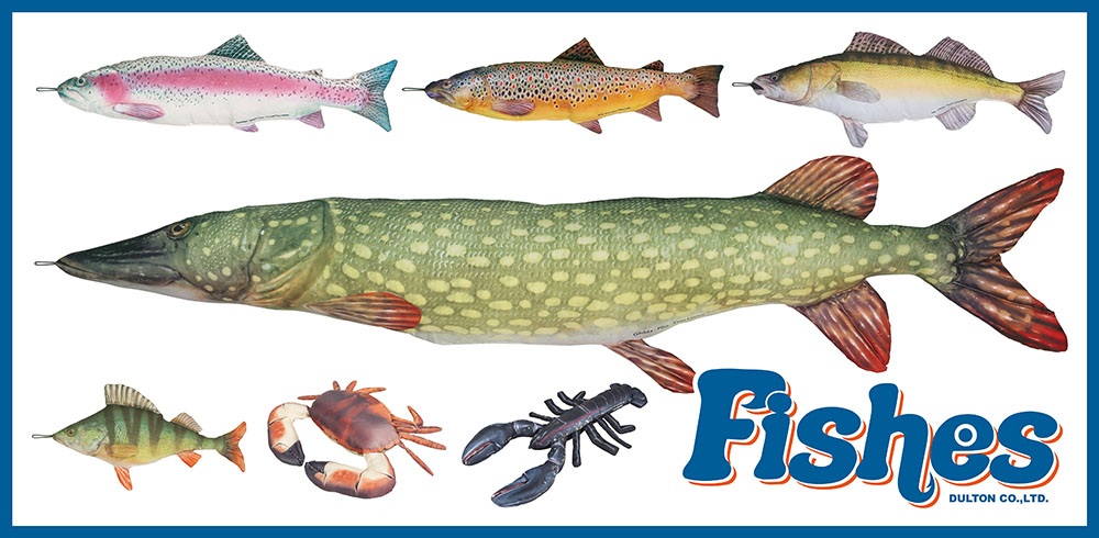 TOP | Fishes