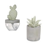 CACTUS FRAGRANCE DIFFUSER