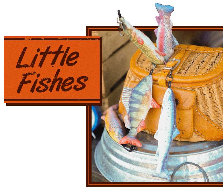 Little Fishes