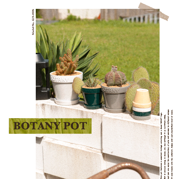DULTON ONLINE SHOP | Summer Garden: DULTON ONLINE SHOP | Summer Garden: