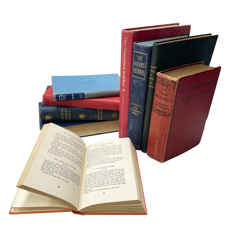 USED BOOK ASSORTED (RED,BLUE) 25cm