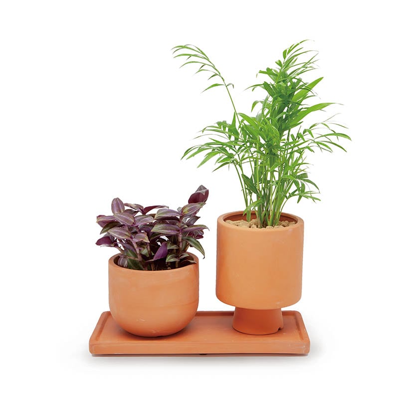 DULTON ONLINE SHOP | TERRACOTTA POT BASIC(BASIC): ガーデン/グリーン