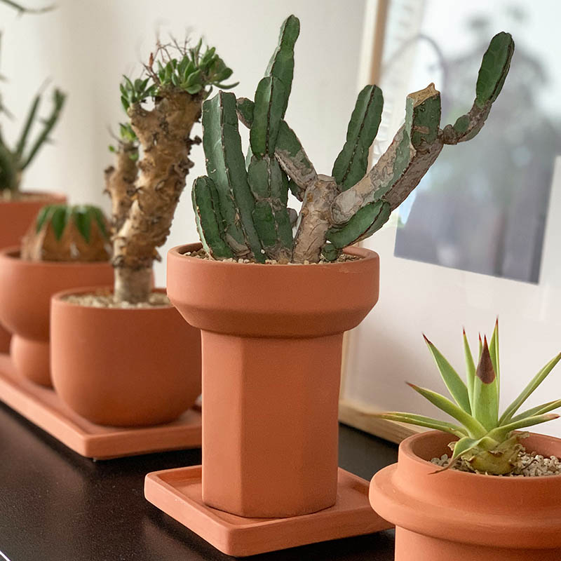 DULTON ONLINE SHOP | TERRACOTTA POT PIPE(PIPE): ガーデン/グリーン