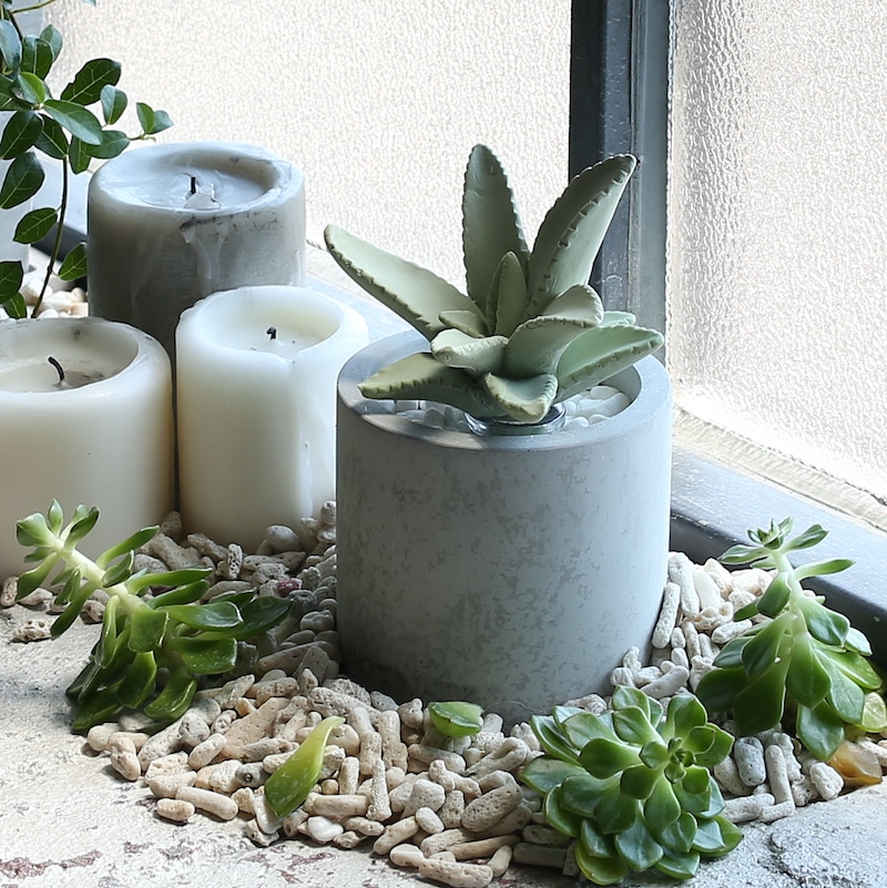 DULTON ONLINE SHOP | ALOE FRAGRANCE DIFFUSER CUTTING GRASS(CUTTING GRASS):  ハウスウェア