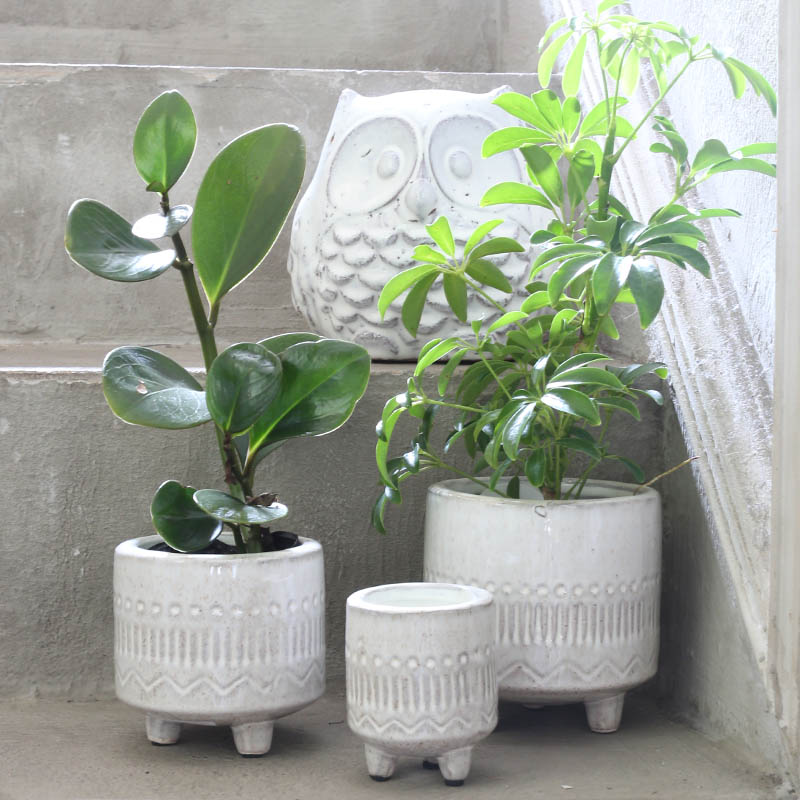 DULTON ONLINE SHOP | STONEWARE POT WITH LEGS S(S): ガーデン/グリーン