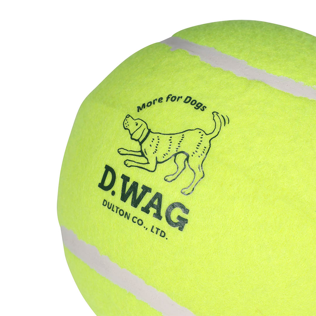 TENNIS BALL SET OF 3 M