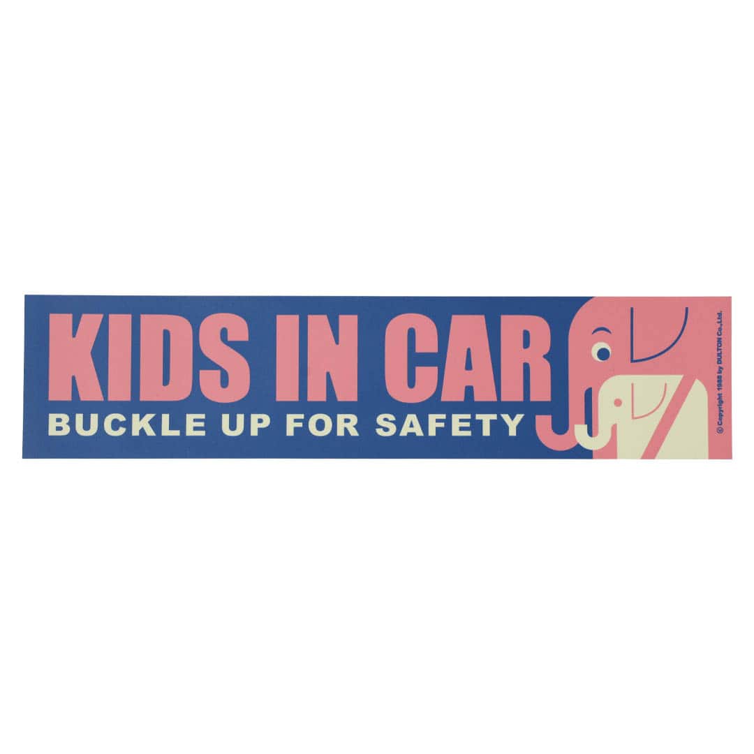 KIDS IN CAR