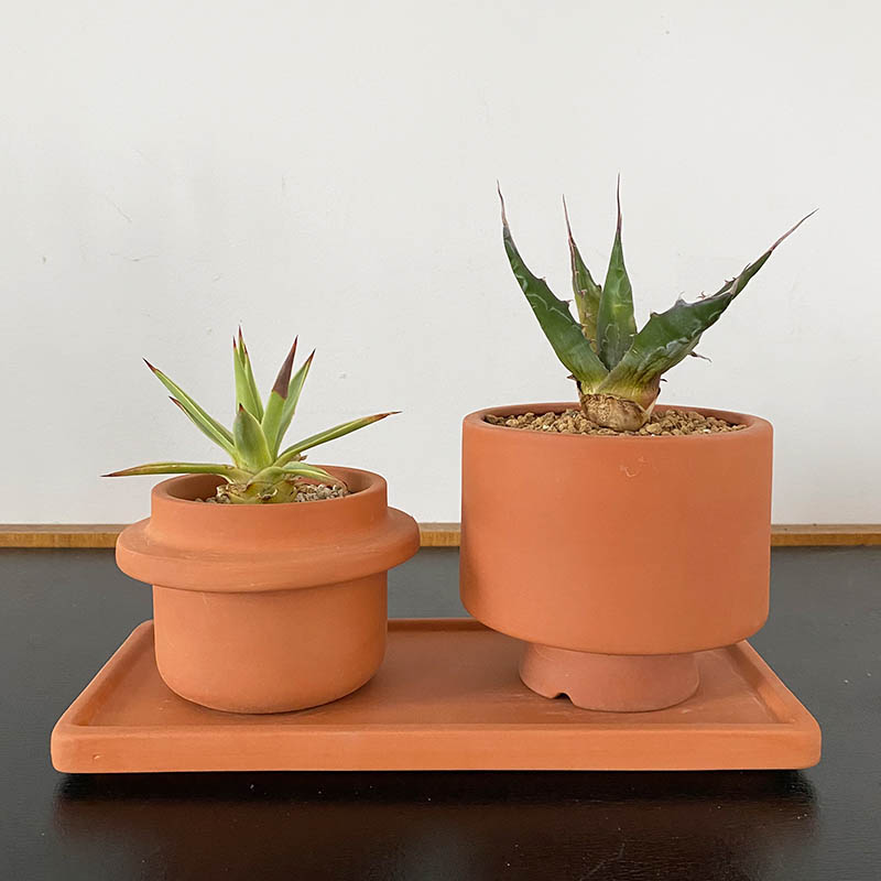 DULTON ONLINE SHOP | TERRACOTTA SAUCER FOR 2(M): ガーデン/グリーン