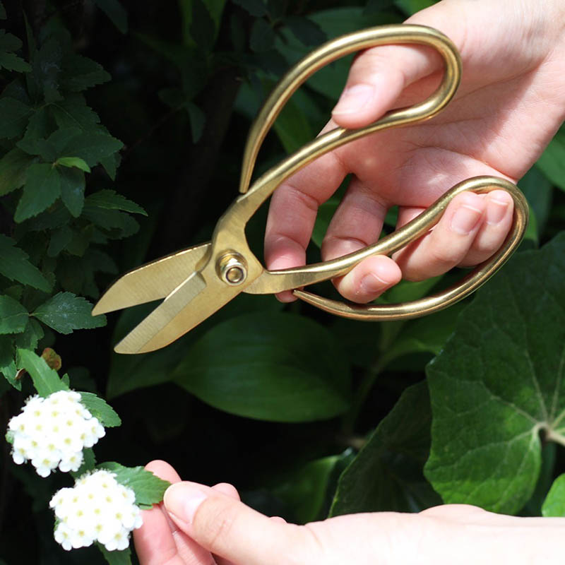 超格安価格 シザーズ BONSAI インダストリアル ボンサイ ヴィンテージ アメリカン DULTON 品番：K655-748B B 男前 ダルトン