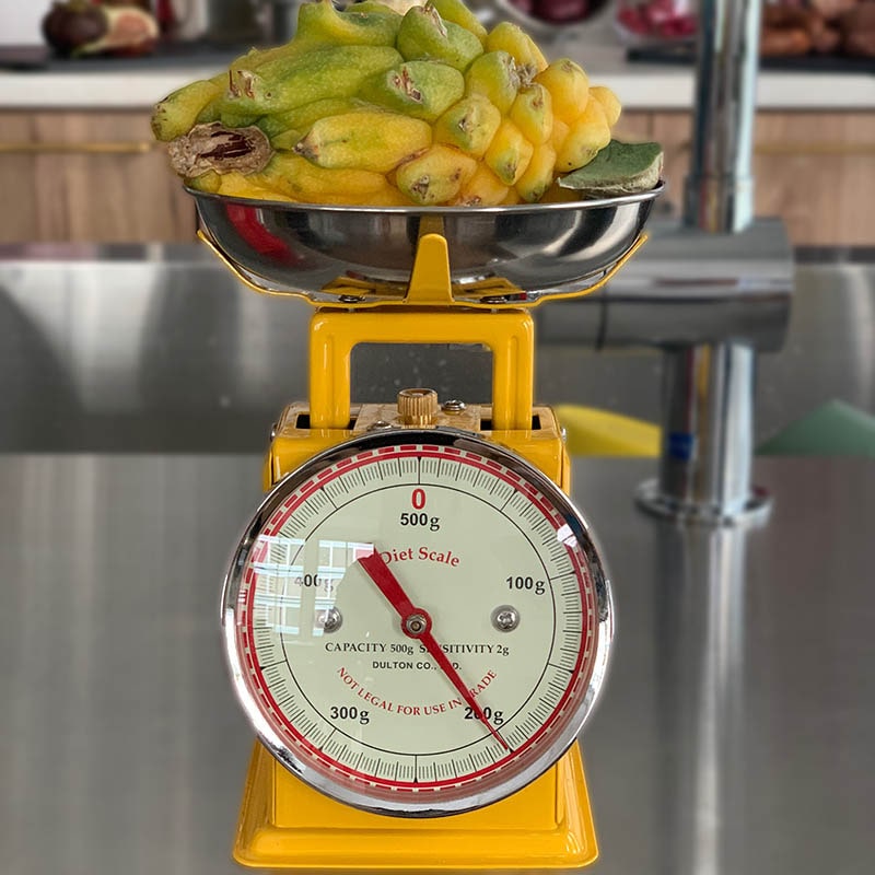 DIET SCALE YELLOW