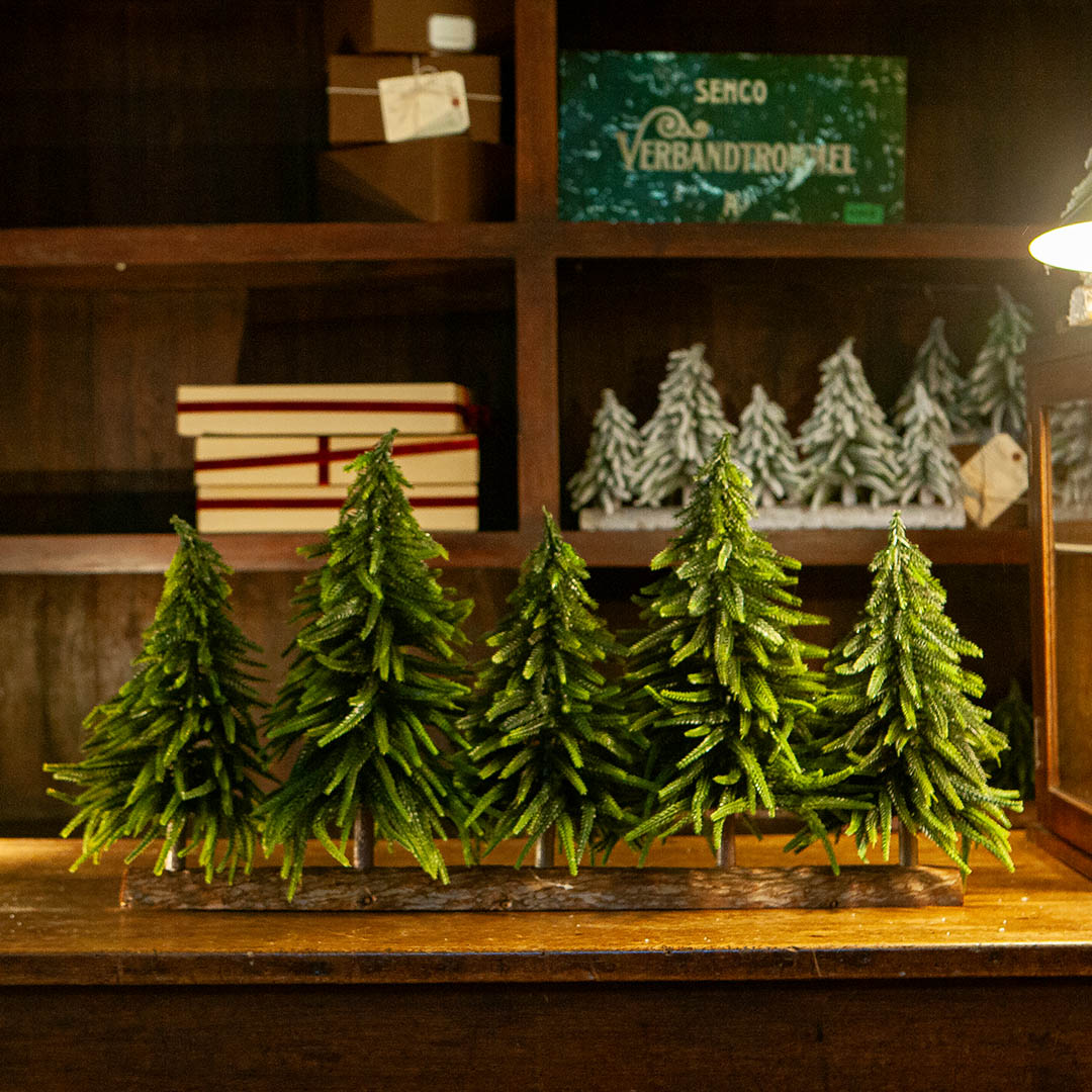 EVERGREEN FOREST 5 LINE L