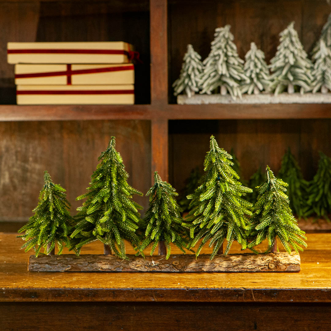 EVERGREEN FOREST 5 LINE M