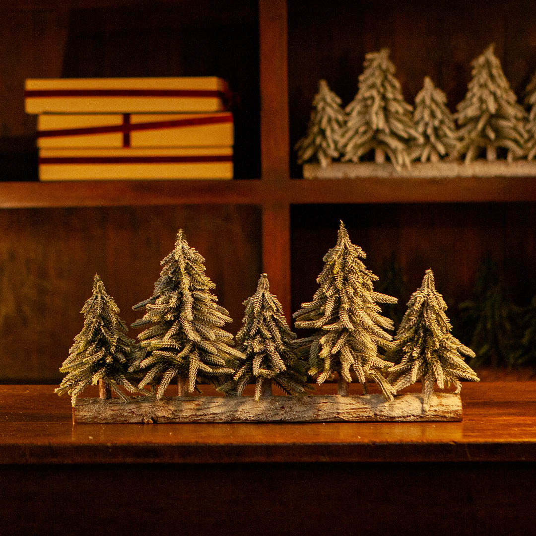 EVERGREEN SNOW FOREST 5 LINE M