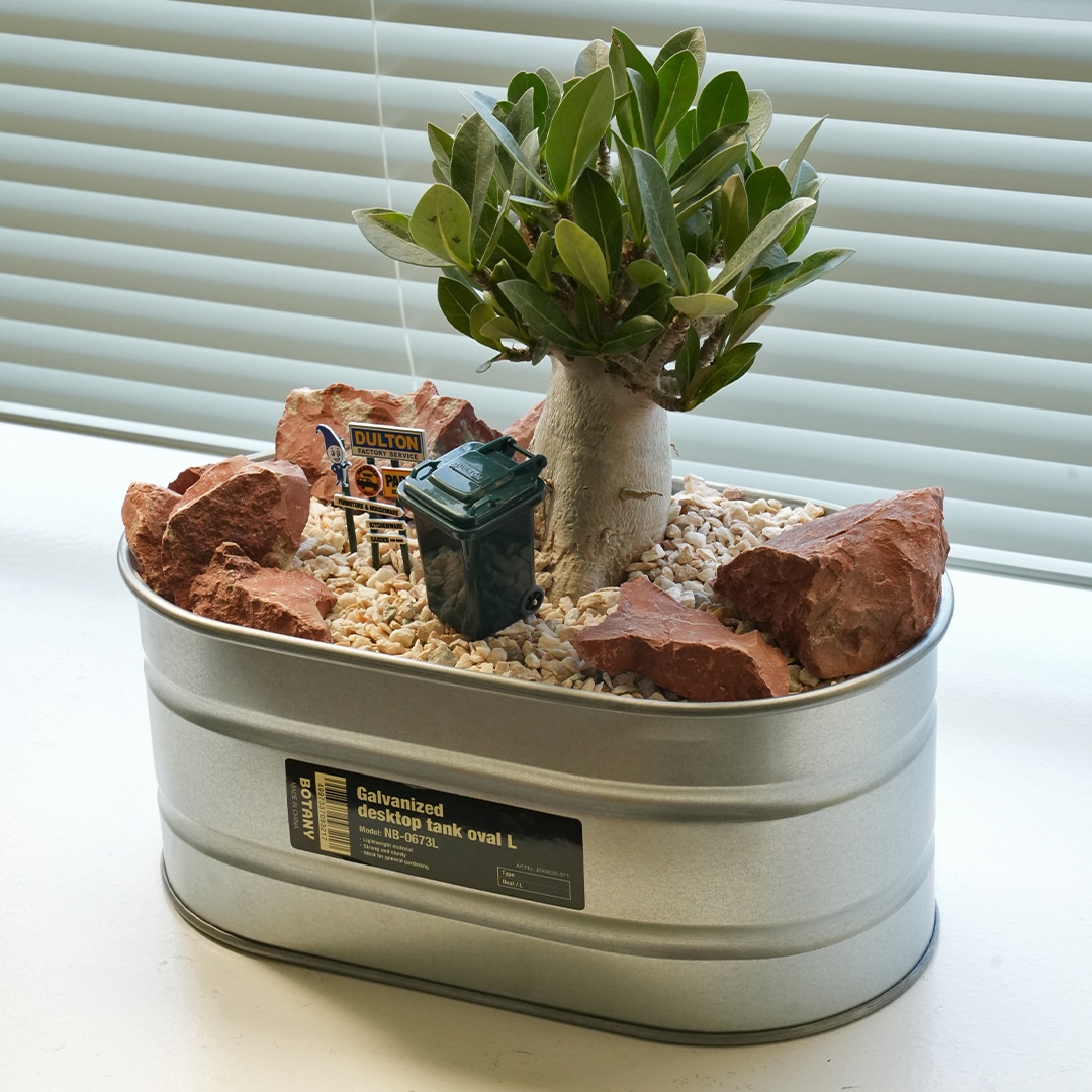 DULTON ONLINE SHOP | GALVANIZED DESKTOP TANK OVAL L(L OVAL