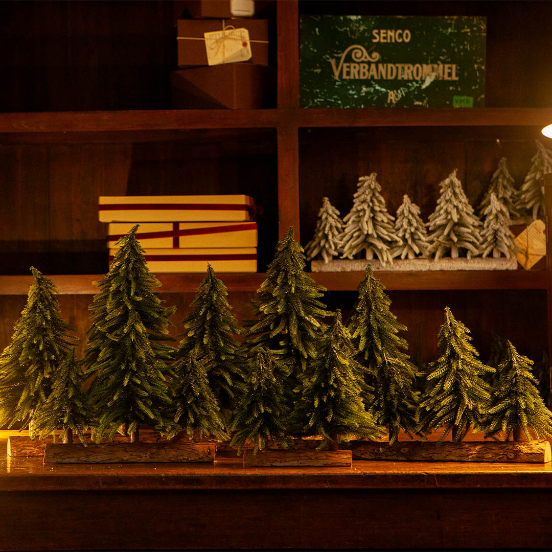 EVERGREEN FOREST 5 LINE L