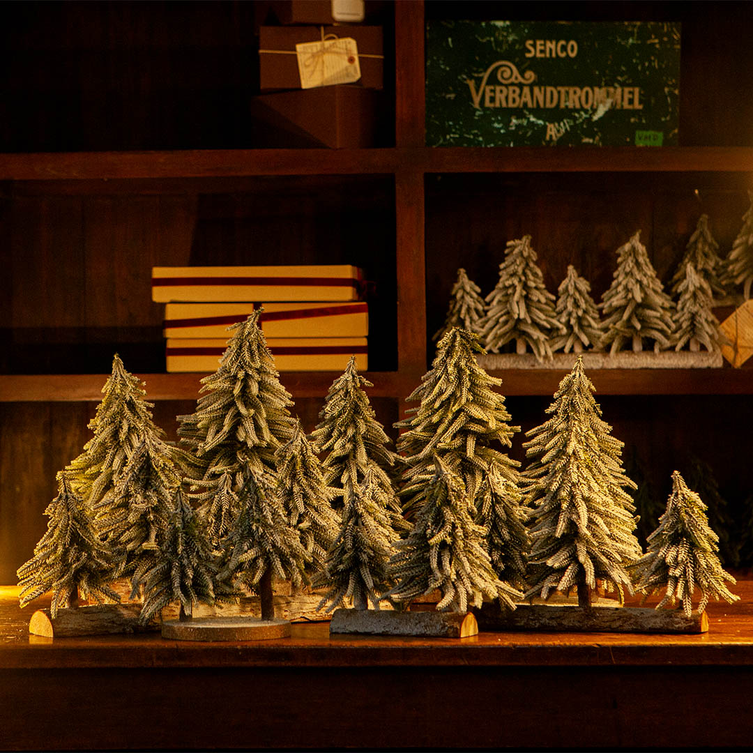 EVERGREEN SNOW FOREST 5 LINE M