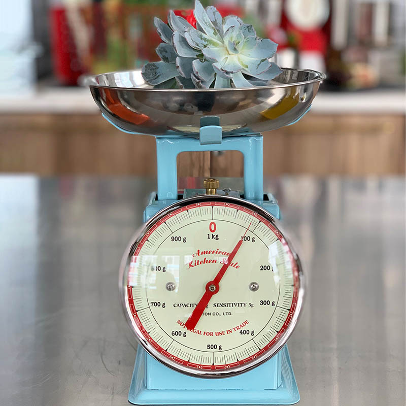 AMERICAN KITCHEN SCALE SAX BLUE