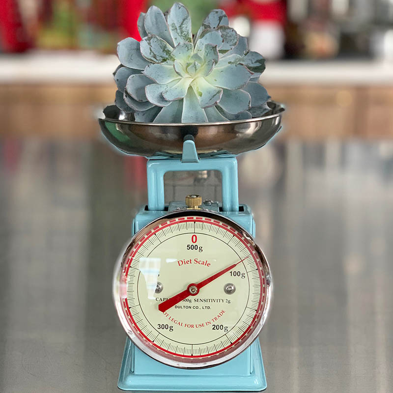 DIET SCALE SAX