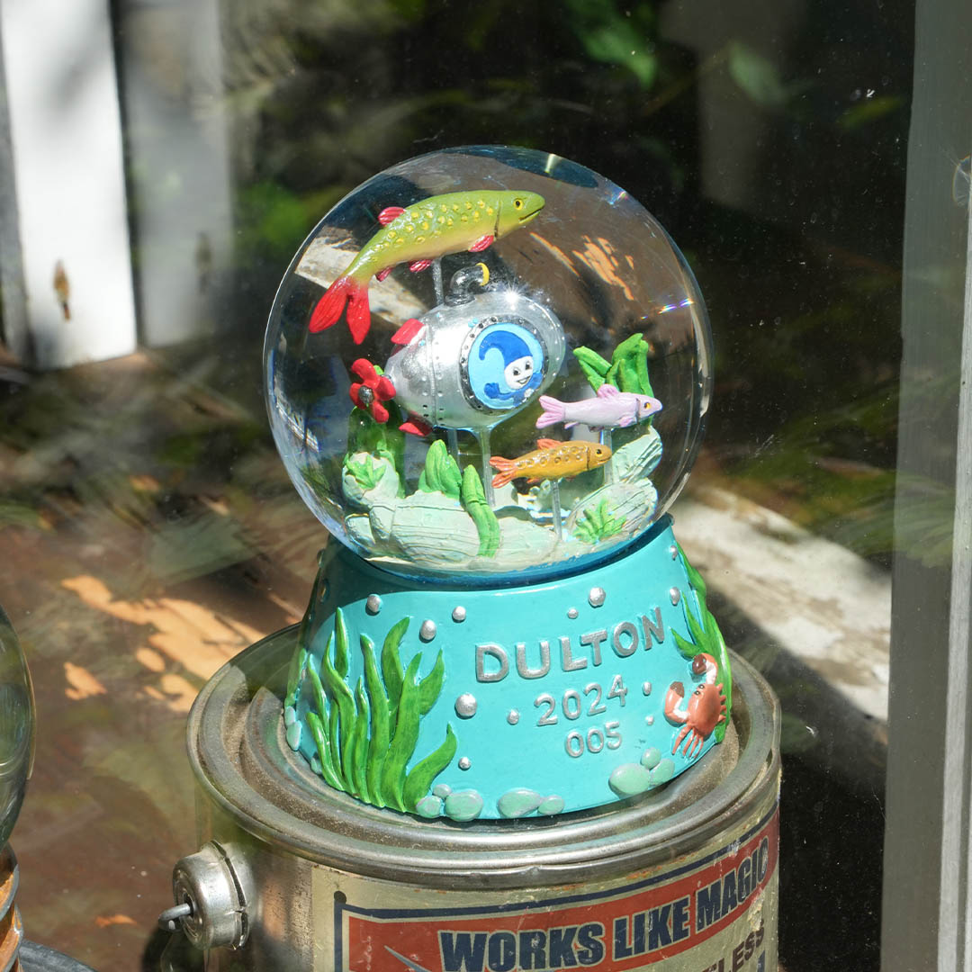 DULTON RIVERGLOBE FISHES 005