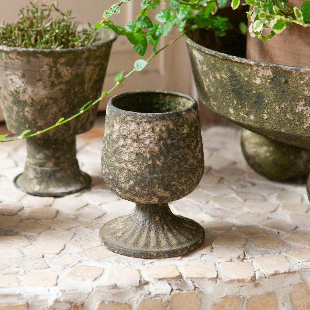MOSS IRON POT B