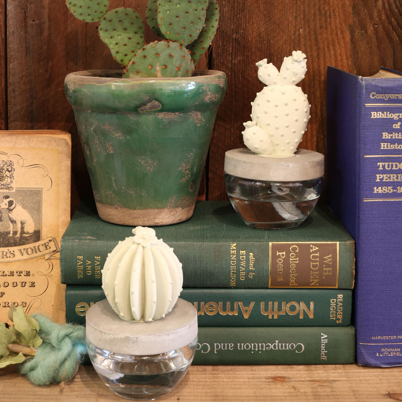 CACTUS FRAGRANCE DIFFUSER C WHITE FLOWER