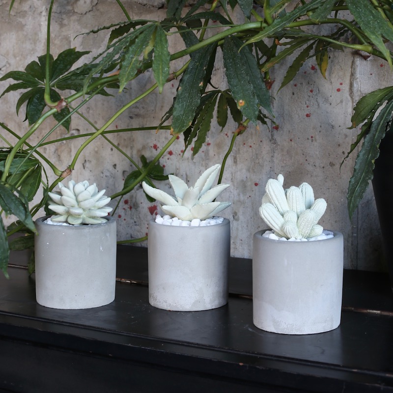 LITTLE GEM FRAGRANCE DIFFUSER WATER LILY
