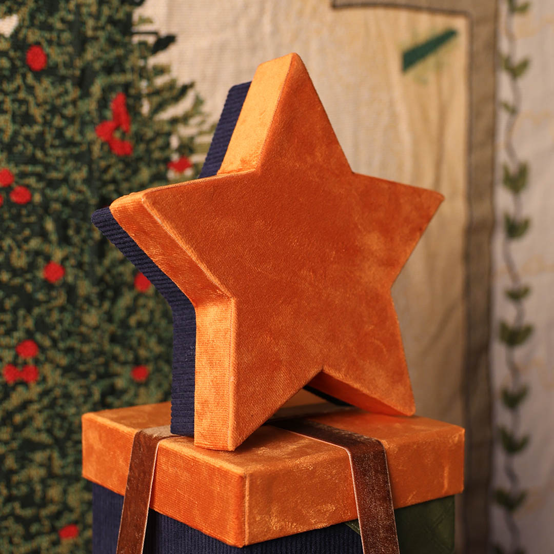 STAR GIFT BOX CAMEL/NAVY