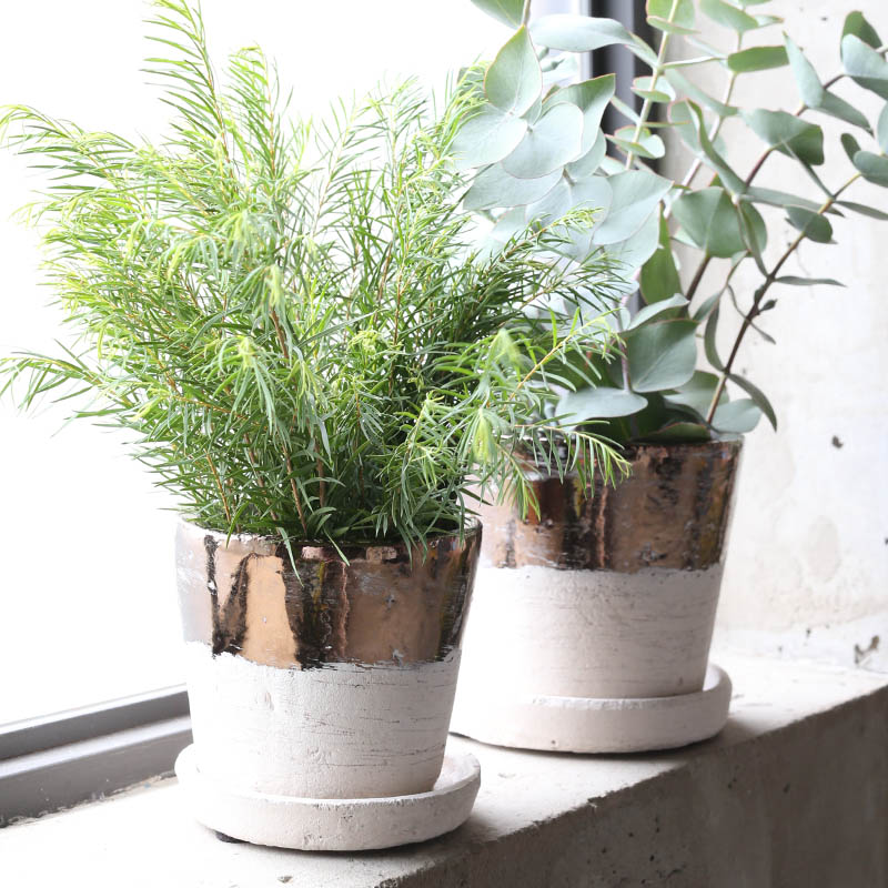 TERRACOTTA BICOLOR POT L