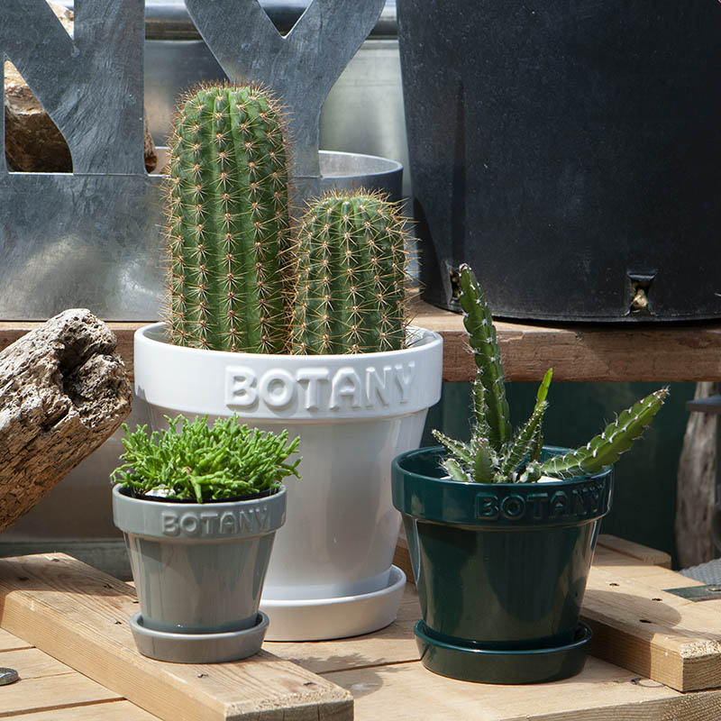 BOTANY POT 5 GREEN