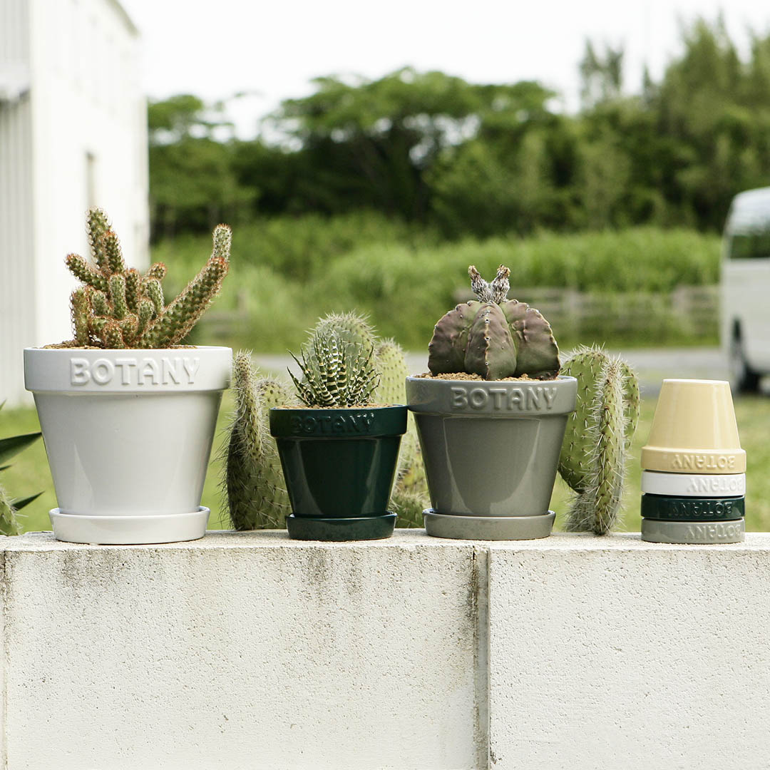 BOTANY POT 6 WHITE