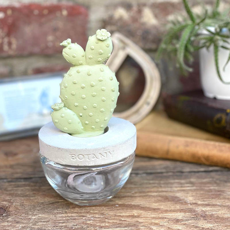 CACTUS FRAGRANCE DIFFUSER A ELEGANT PEONY