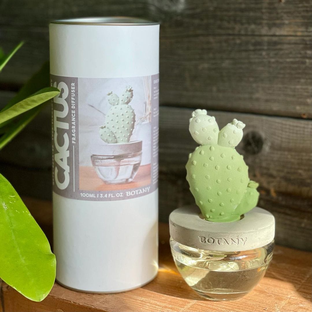 CACTUS FRAGRANCE DIFFUSER A ELEGANT PEONY