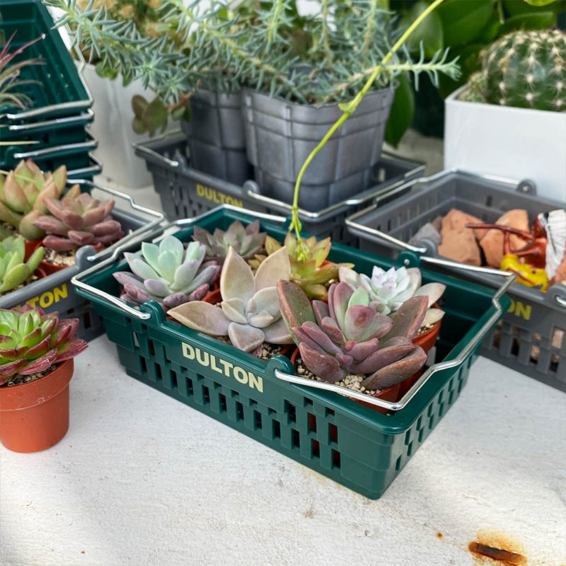 DESKTOP BASKET GREEN