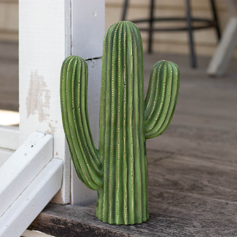 CACTUS D