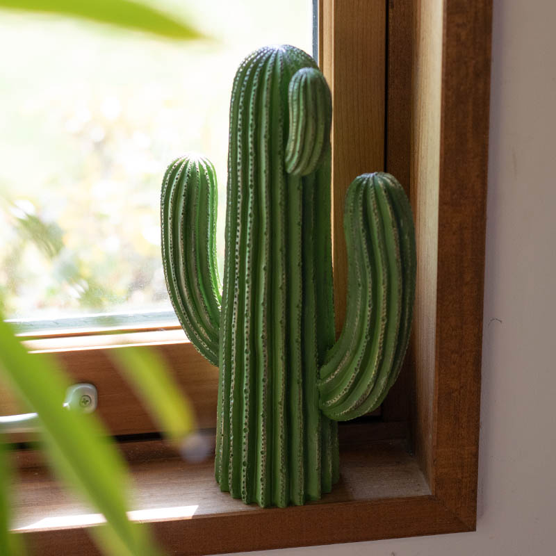CACTUS E
