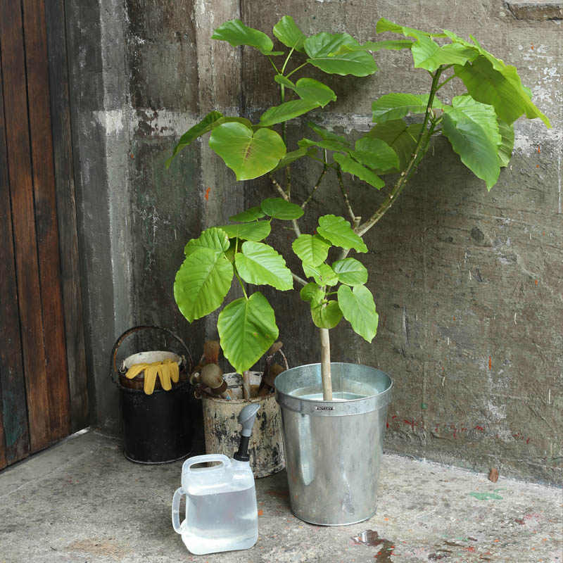 GALVANIZED POT COVER 30