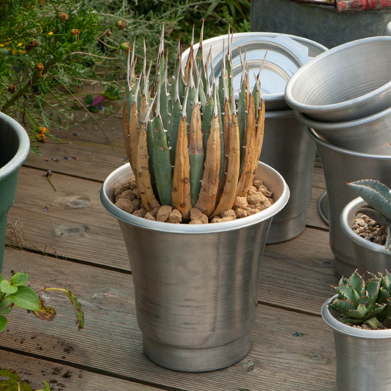 ALUMINUM POT L WITH SAUCER