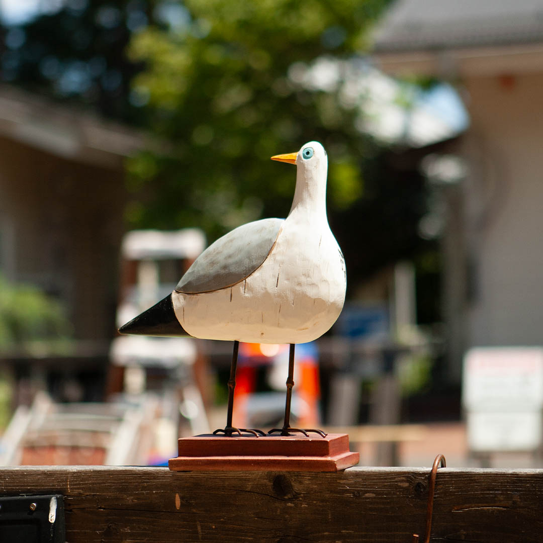 THE GULLS A