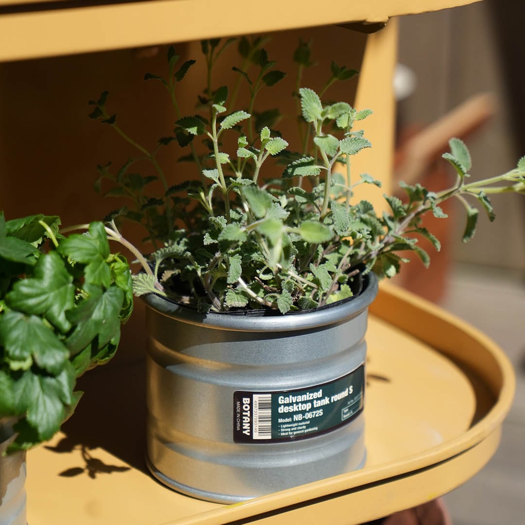 GALVANIZED DESKTOP TANK ROUND S