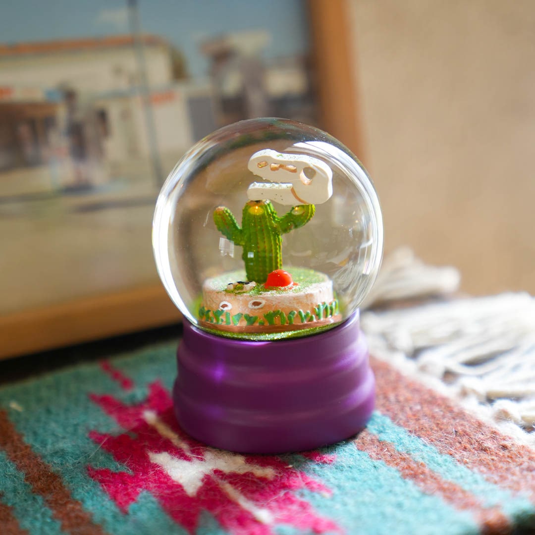 WATER GLOBE SKULL ON THE CACTUS