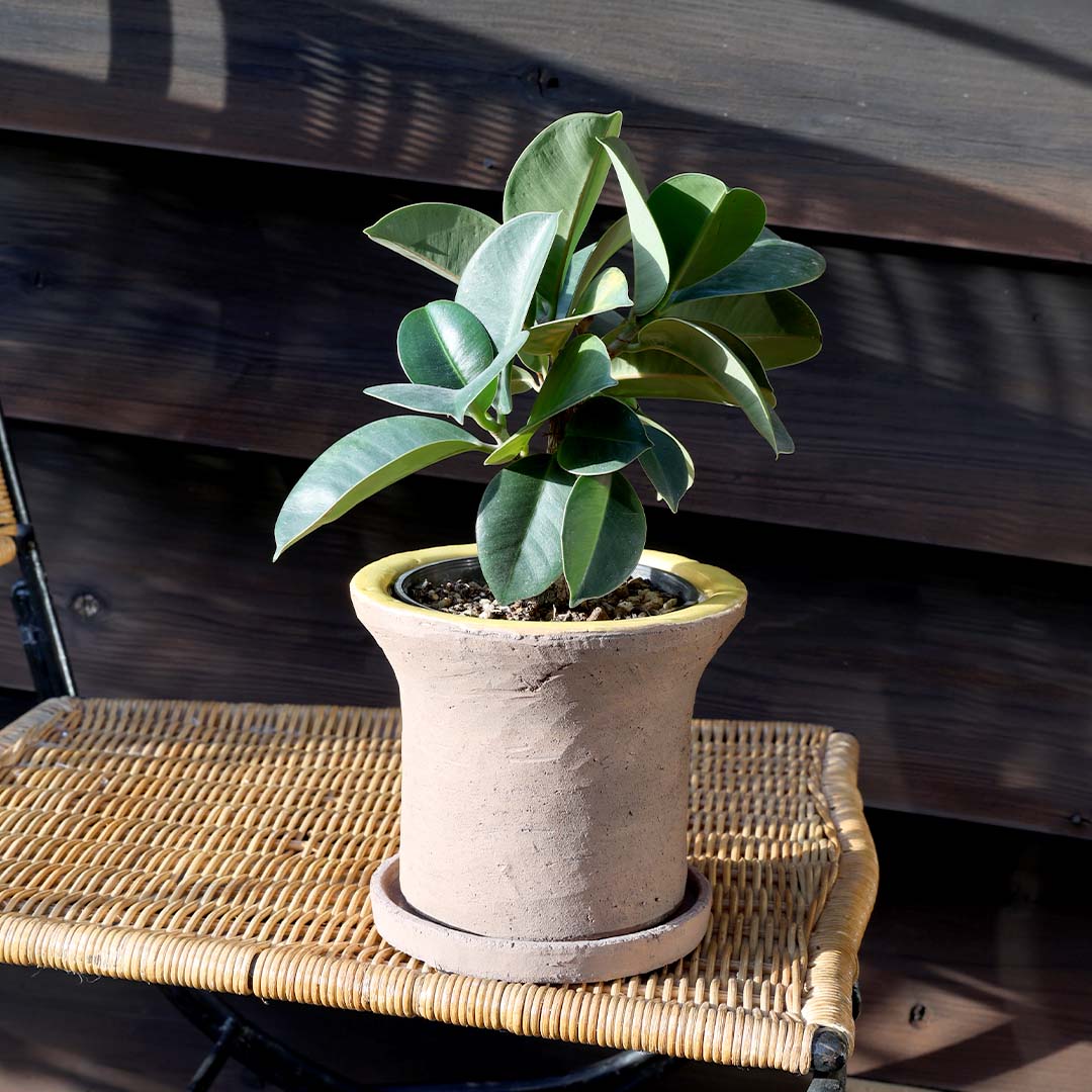 GLAZED EARTHENWARE POT M YELLOW