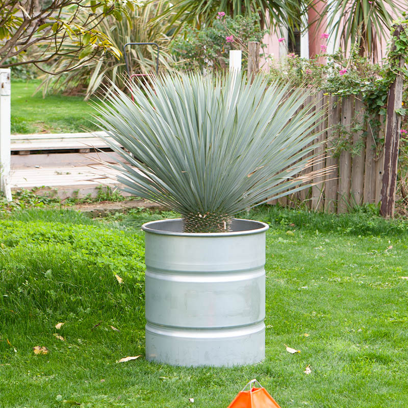 GALVANIZED TANK L
