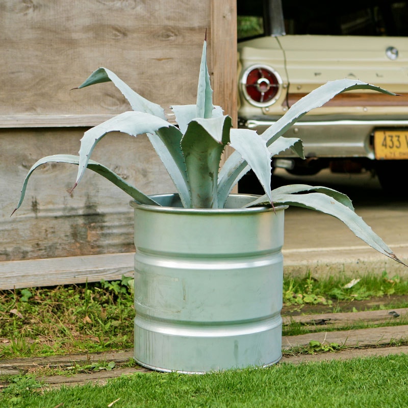 GALVANIZED TANK M
