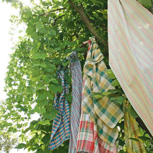 MULTI CLOTH  AA