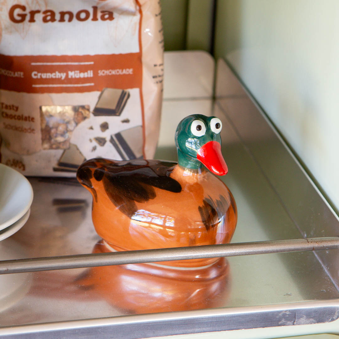 FLOATING DUCK BROWN/GREEN