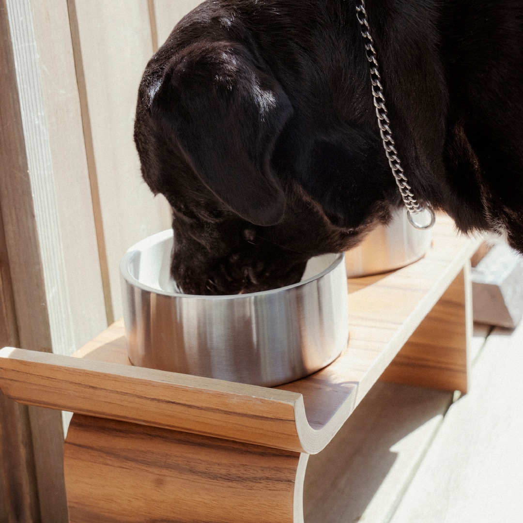 DOUBLE WALL DOG BOWL M STAINLESS