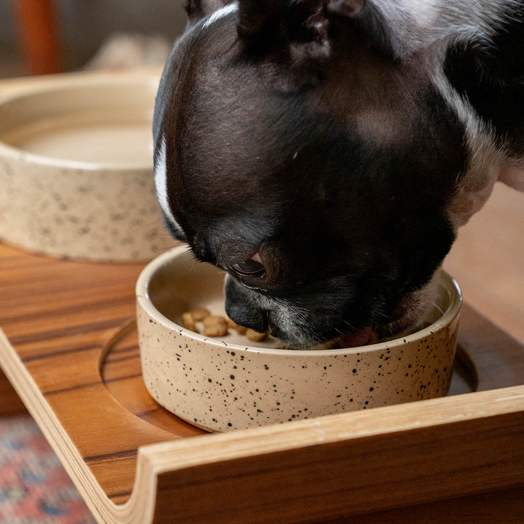 SPLATTER CERAMIC DOG BOWL M