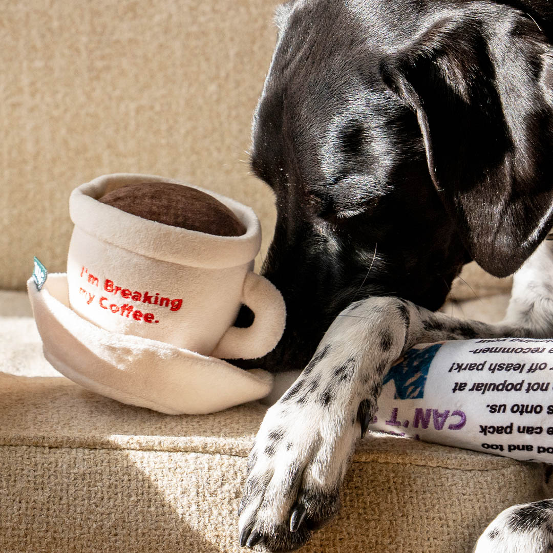 PLUSH TOY CUP AND SAUCER