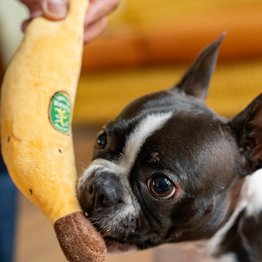 PLUSH TOY BANANA