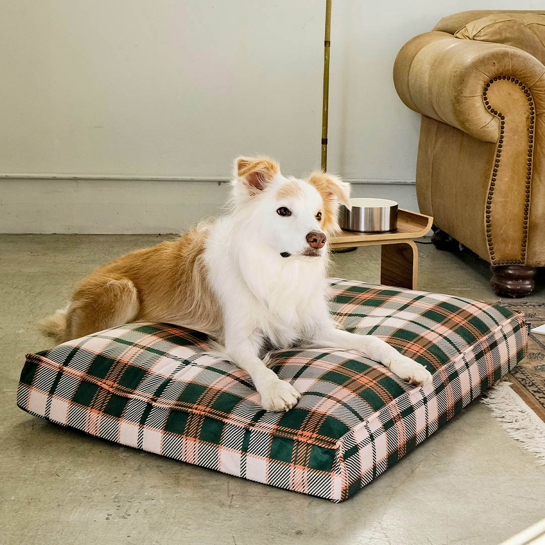 CHECK DOG BED M